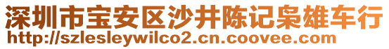 深圳市寶安區(qū)沙井陳記梟雄車行