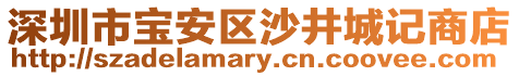 深圳市寶安區沙井城記商店