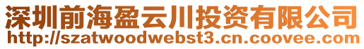 深圳前海盈云川投資有限公司