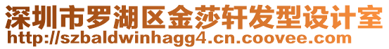 深圳市羅湖區(qū)金莎軒發(fā)型設(shè)計室