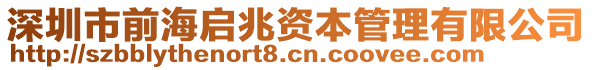 深圳市前海啟兆資本管理有限公司