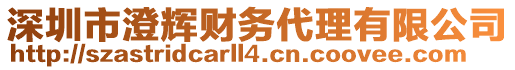 深圳市澄輝財(cái)務(wù)代理有限公司