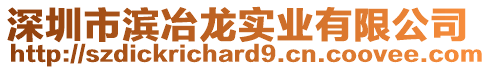 深圳市濱冶龍實業(yè)有限公司