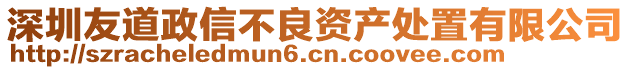 深圳友道政信不良資產(chǎn)處置有限公司