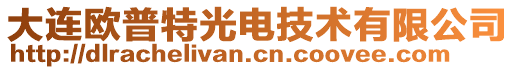 大連歐普特光電技術(shù)有限公司