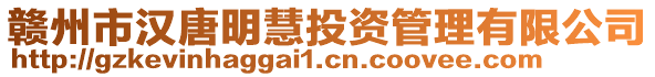 贛州市漢唐明慧投資管理有限公司