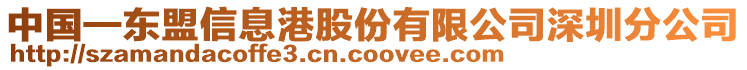 中國—東盟信息港股份有限公司深圳分公司