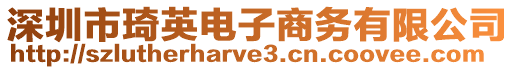 深圳市琦英電子商務(wù)有限公司