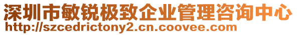 深圳市敏銳極致企業管理咨詢中心