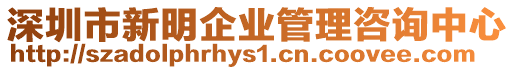 深圳市新明企業管理咨詢中心