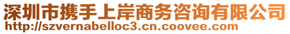 深圳市攜手上岸商務咨詢有限公司