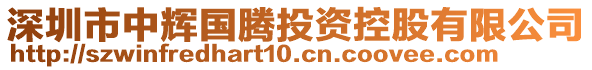 深圳市中輝國騰投資控股有限公司