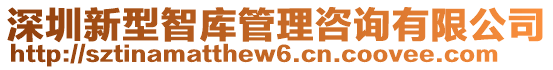深圳新型智庫(kù)管理咨詢有限公司
