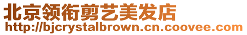 北京領銜剪藝美發店
