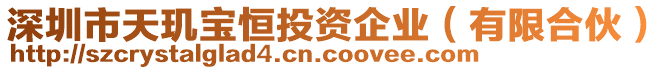 深圳市天璣寶恒投資企業(有限合伙)