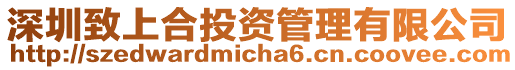 深圳致上合投資管理有限公司