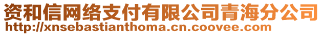 資和信網(wǎng)絡(luò)支付有限公司青海分公司