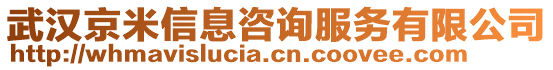 武漢京米信息咨詢服務(wù)有限公司