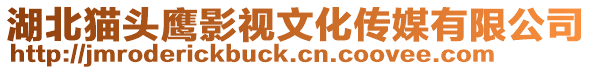 湖北貓頭鷹影視文化傳媒有限公司