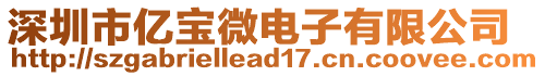 深圳市億寶微電子有限公司