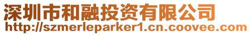 深圳市和融投資有限公司