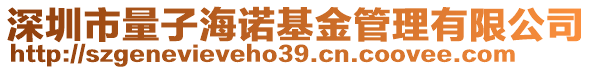 深圳市量子海諾基金管理有限公司