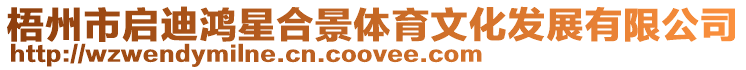 梧州市啟迪鴻星合景體育文化發展有限公司