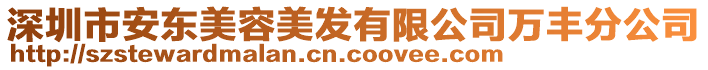 深圳市安東美容美發有限公司萬豐分公司