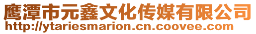 鷹潭市元鑫文化傳媒有限公司