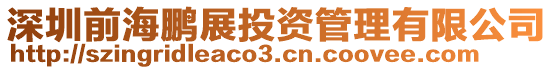 深圳前海鵬展投資管理有限公司