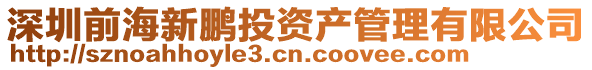 深圳前海新鵬投資產管理有限公司