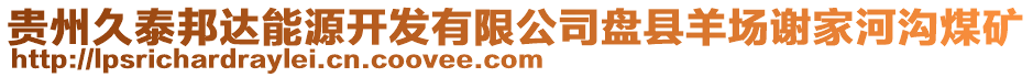 貴州久泰邦達(dá)能源開(kāi)發(fā)有限公司盤(pán)縣羊場(chǎng)謝家河溝煤礦