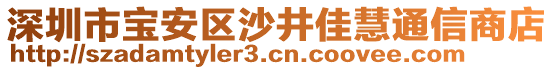 深圳市寶安區(qū)沙井佳慧通信商店