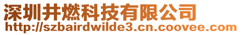 深圳井燃科技有限公司