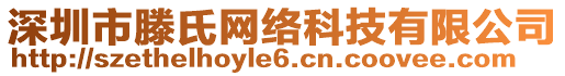 深圳市滕氏網(wǎng)絡(luò)科技有限公司