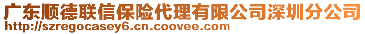 廣東順德聯(lián)信保險代理有限公司深圳分公司