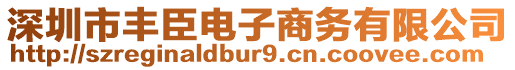 深圳市豐臣電子商務(wù)有限公司