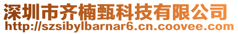 深圳市齊楠甄科技有限公司