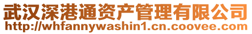 武漢深港通資產管理有限公司