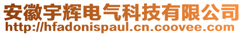 安徽宇輝電氣科技有限公司