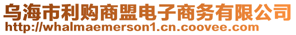 烏海市利購商盟電子商務(wù)有限公司