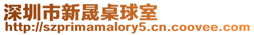 深圳市新晟桌球室