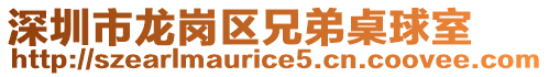 深圳市龍崗區兄弟桌球室