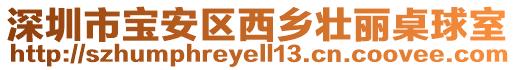 深圳市寶安區西鄉壯麗桌球室