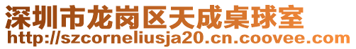 深圳市龍崗區天成桌球室