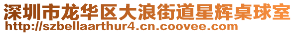 深圳市龍華區(qū)大浪街道星輝桌球室