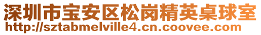 深圳市寶安區松崗精英桌球室