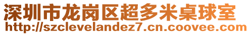 深圳市龍崗區超多米桌球室