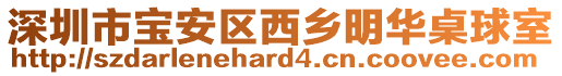 深圳市宝安区西乡明华桌球室