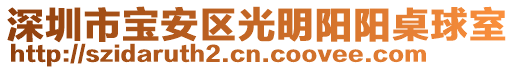 深圳市寶安區(qū)光明陽陽桌球室